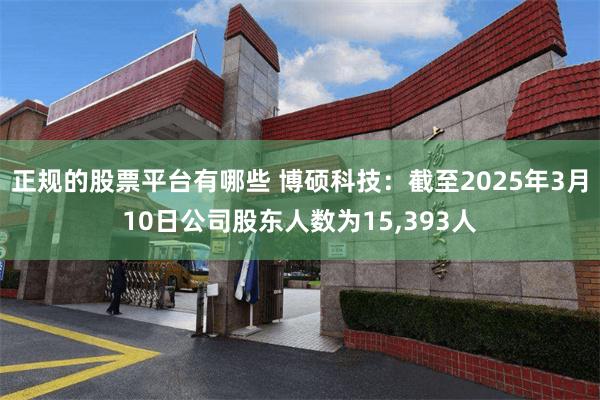 正规的股票平台有哪些 博硕科技：截至2025年3月10日公司股东人数为15,393人