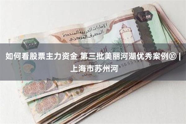 如何看股票主力资金 第三批美丽河湖优秀案例⑩ | 上海市苏州河