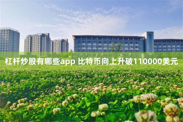 杠杆炒股有哪些app 比特币向上升破110000美元