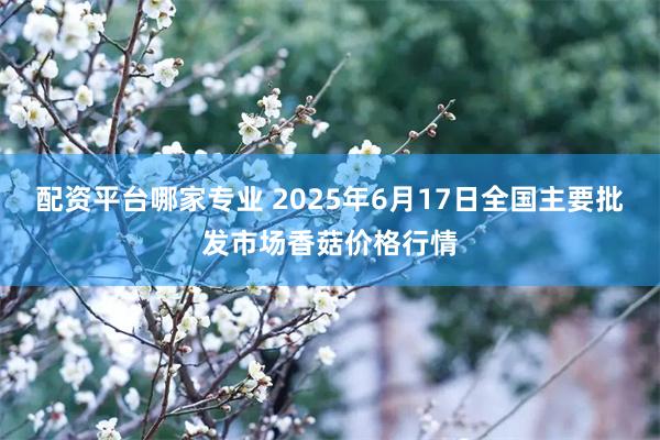 配资平台哪家专业 2025年6月17日全国主要批发市场香菇价格行情