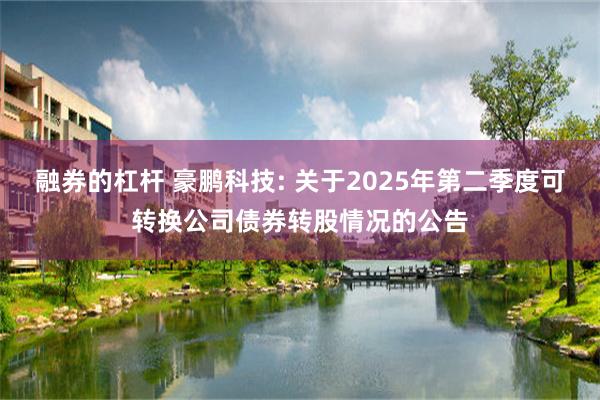 融券的杠杆 豪鹏科技: 关于2025年第二季度可转换公司债券转股情况的公告
