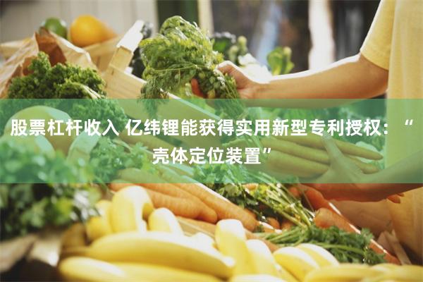 股票杠杆收入 亿纬锂能获得实用新型专利授权：“壳体定位装置”
