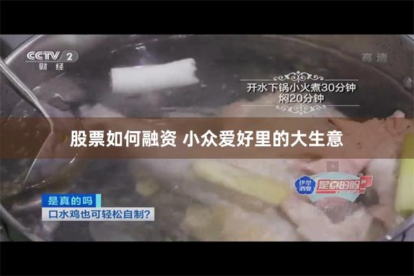 股票如何融资 小众爱好里的大生意
