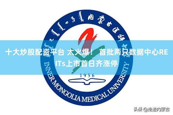 十大炒股配资平台 太火爆！ 首批两只数据中心REITs上市首日齐涨停