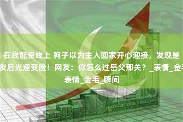 在线配资线上 狗子以为主人回家开心迎接，发现是主人男友后光速变脸！网友：你怎么过岳父那关？_表情_金毛_瞬间