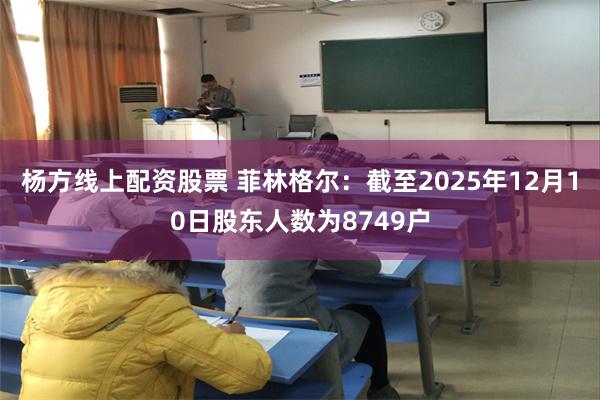 杨方线上配资股票 菲林格尔：截至2025年12月10日股东人数为8749户